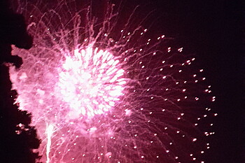 Silvester Silvester